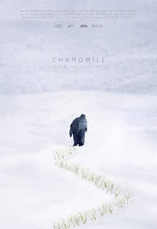 Chamomile poster