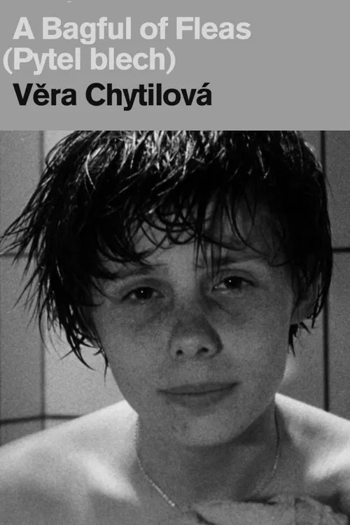 A Bagful of Fleas poster