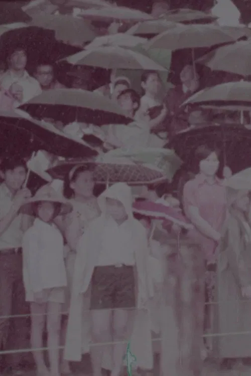 The Dragon Boat Festival poster