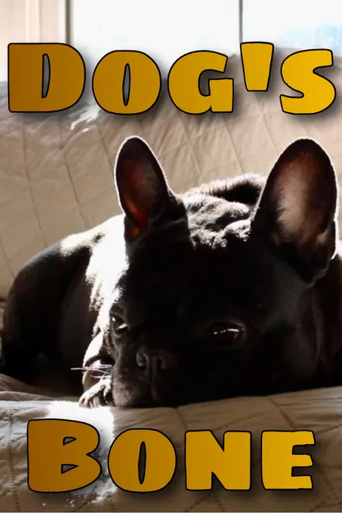 Dog's Bone poster