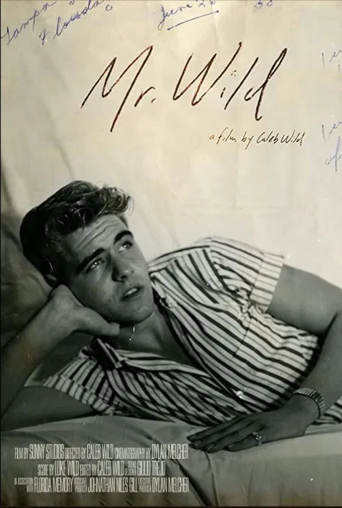 Mr. Wild poster