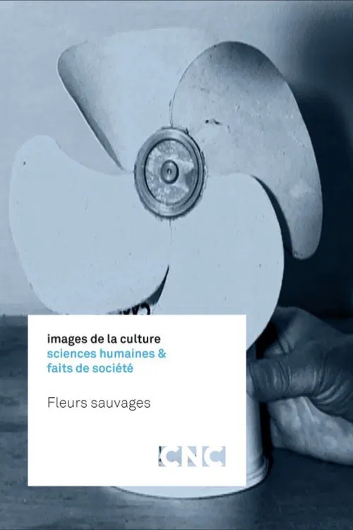 Fleurs sauvages poster
