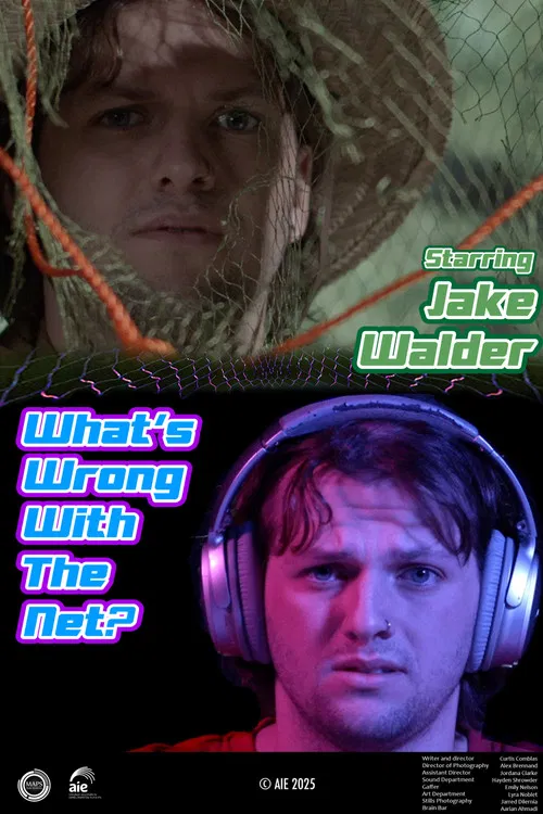 What's Wrong with the Net? poster