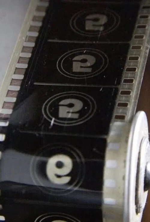 Lapidar o Bruto poster