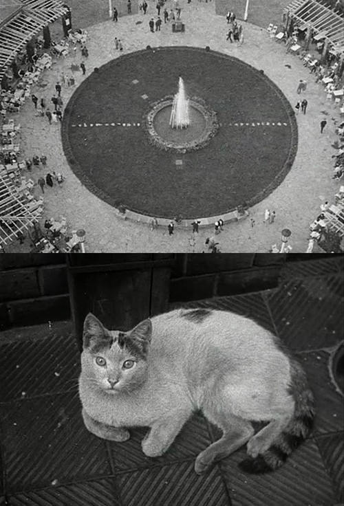 Berlin Still-Life poster