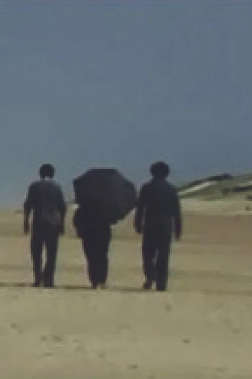 Les fenêtres sont ouvertes poster