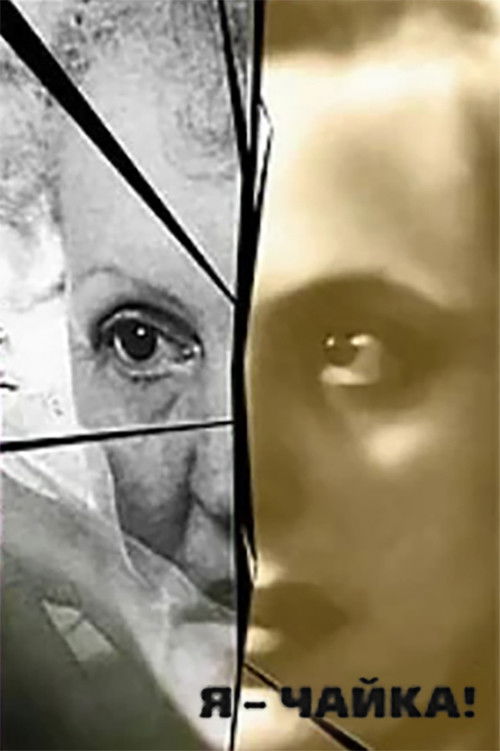 I Am a Seagull! poster