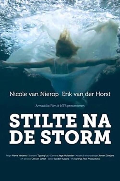 Stilte na de storm poster