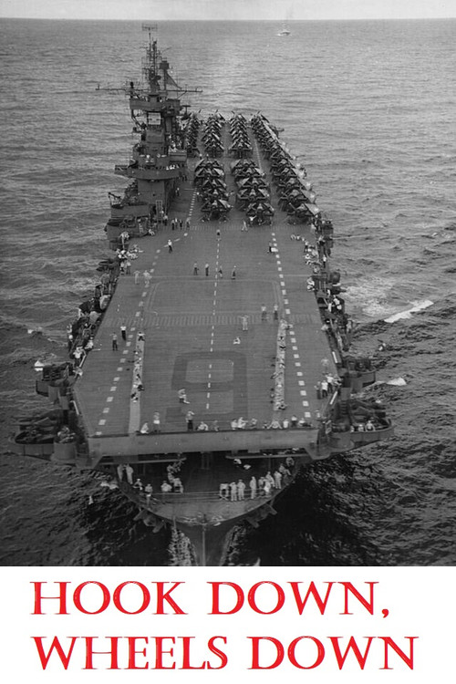 Hook Down, Wheels Down poster