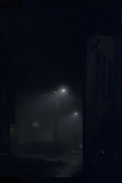 The River and A Cat poster