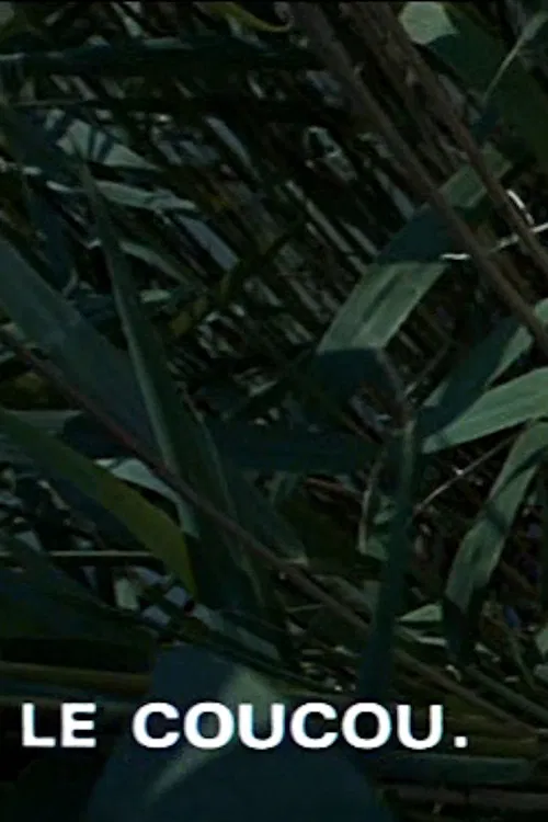 Le coucou poster