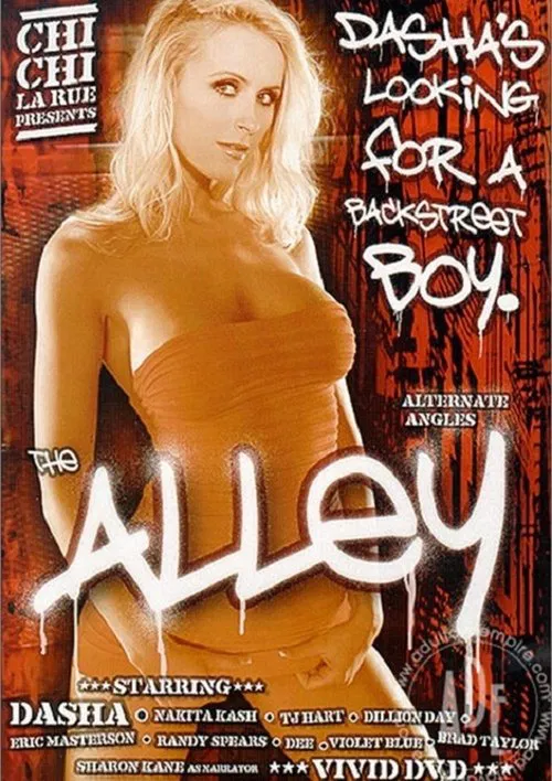 The Alley poster