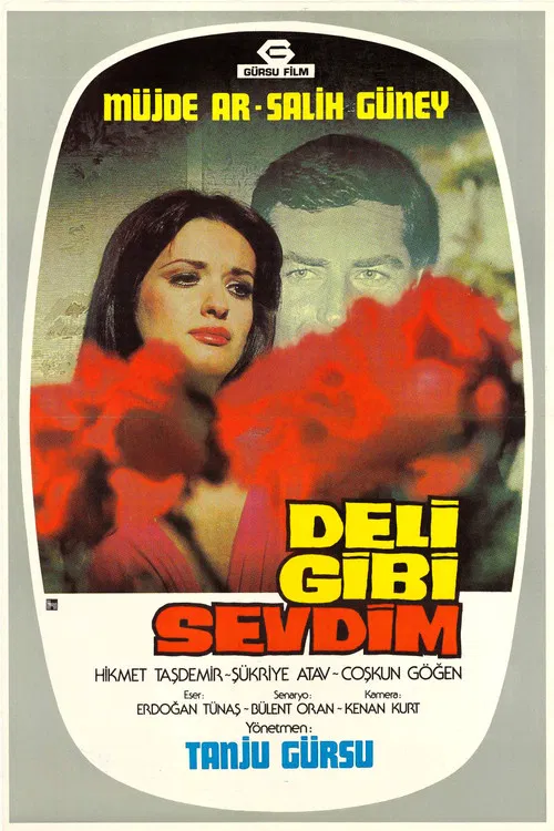 Deli Gibi Sevdim poster
