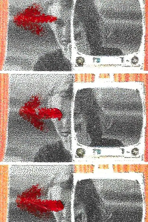 My Glances Went Like Gleaners poster