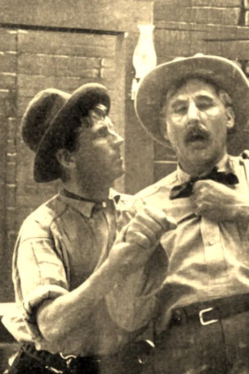 The Stage Driver's Daughter poster