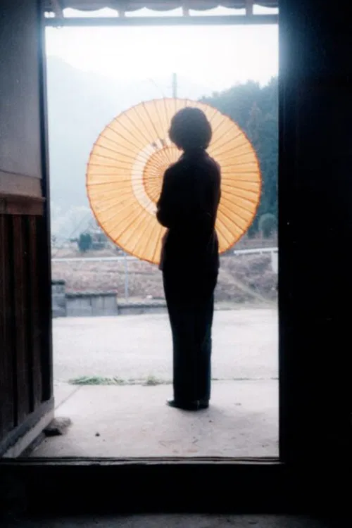 Japanese-style Paella poster