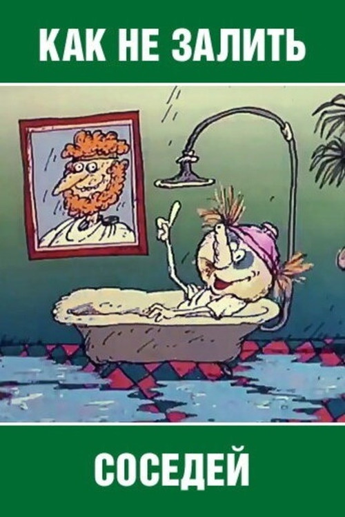 How Not to Flood the Neighbors poster