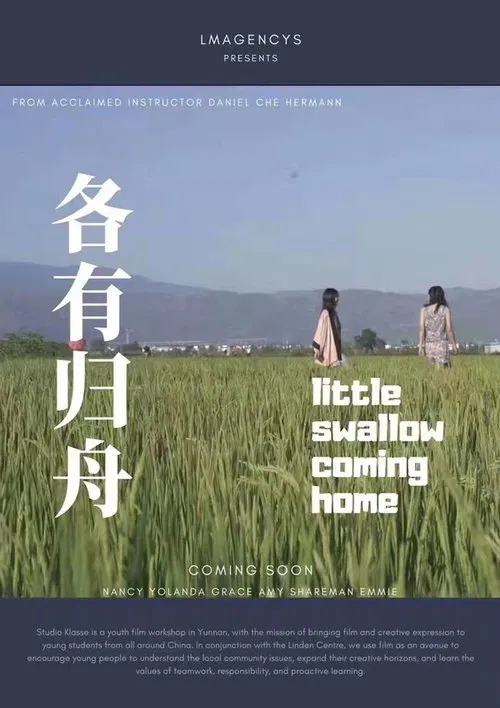 Little Swallow Coming Home poster