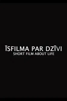 Short Film About Life poster