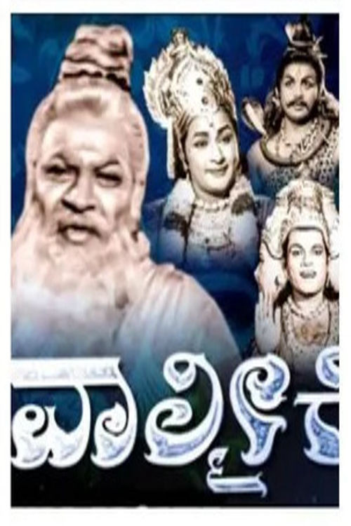 Valmiki poster