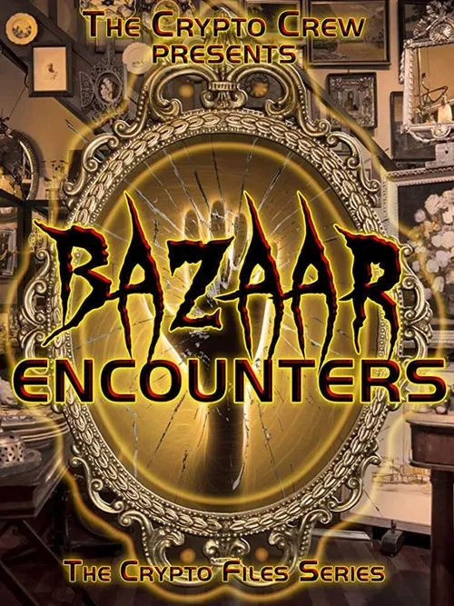 Bazaar Encounters poster