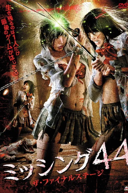 Missing 44 The Final Stage poster