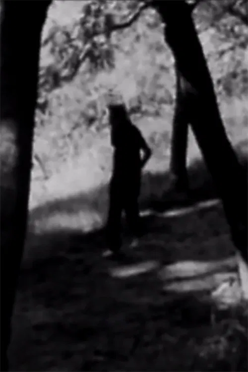 Homenaje a Juan L. Ortiz poster