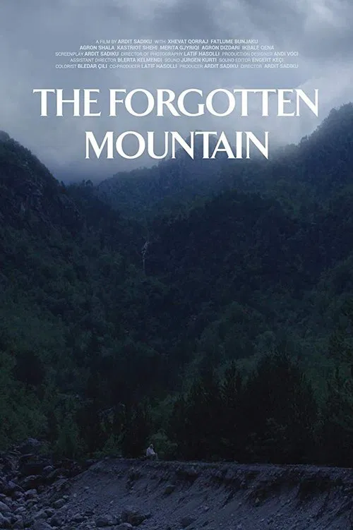 The Forgotten Mountain poster