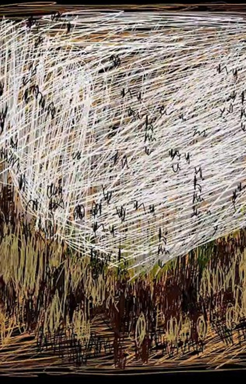 A One Minute History Of Image Distortions poster