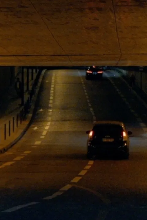 Absolutely No Sexual Favors poster