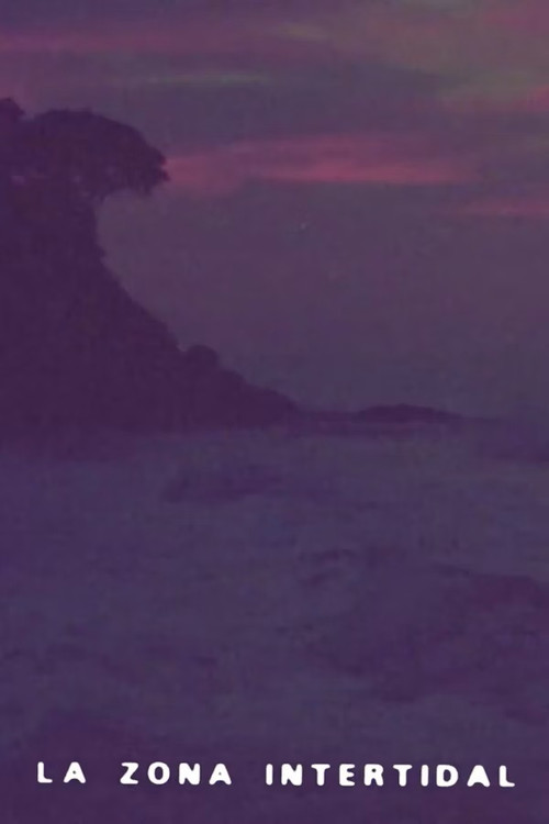 Intertidal Zone poster