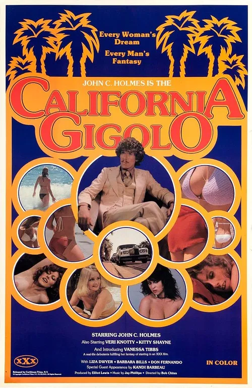 California Gigolo poster