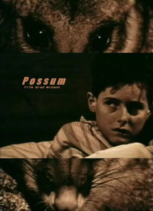 Possum poster