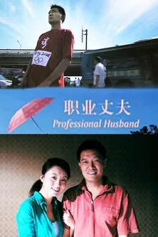 Professional Husband poster