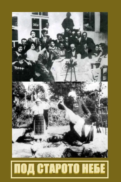 Under the Old Sky poster