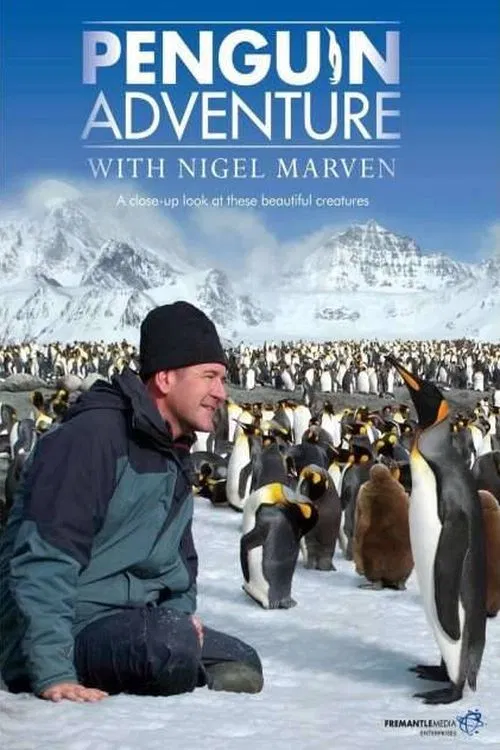 Penguin Adventure with Nigel Marven poster