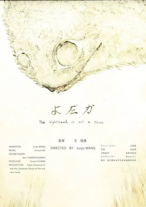 The Nighthawk Is Not a Hawk poster