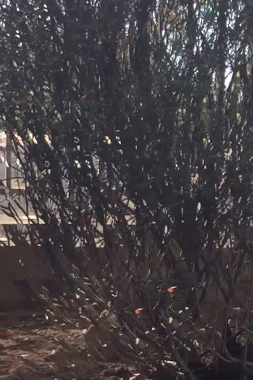 All Those Things poster