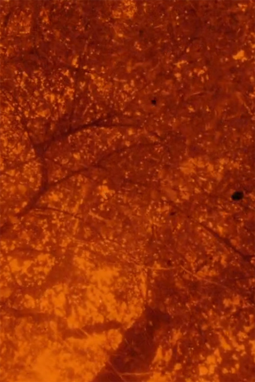 See Beneath the Static poster