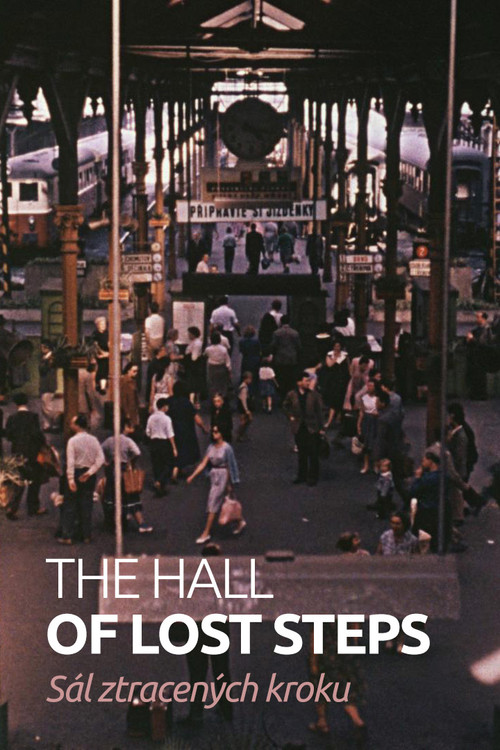 The Hall of Lost Steps poster