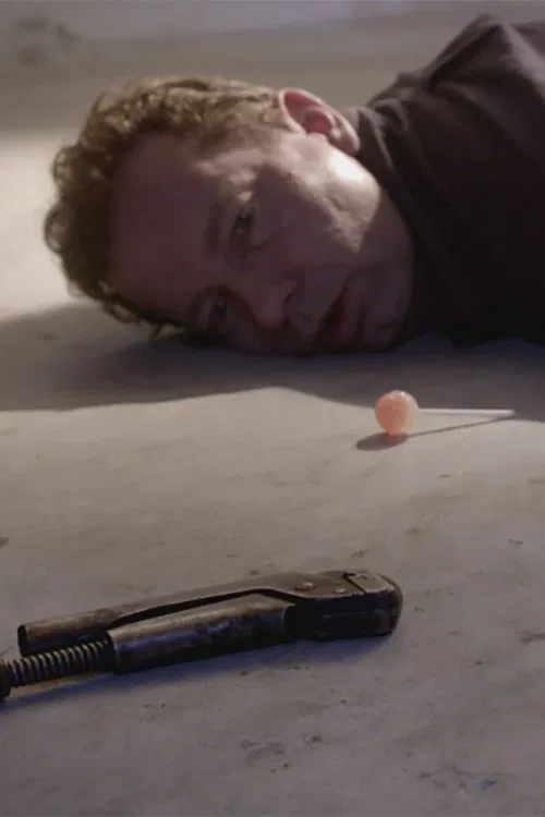 Berör Amadeus Flamander poster