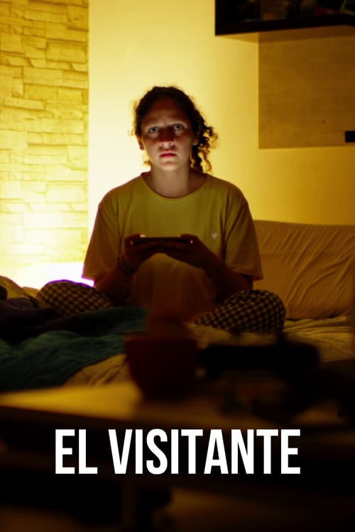 The Visitor poster