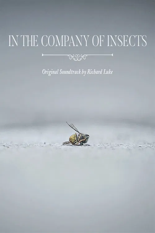 In the Company of Insects poster
