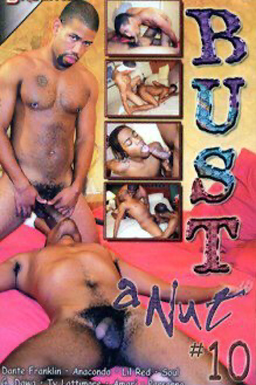 Bust a Nut 10 poster