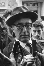 Mario Camerini profile