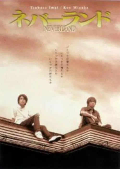 Neverland poster
