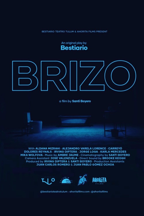 Brizo poster