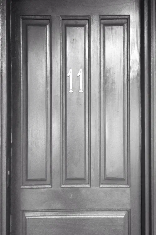 Door 11 poster