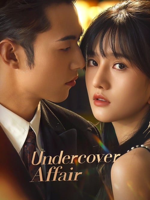 Undercover Affair poster