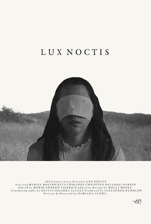 Lux Noctis poster